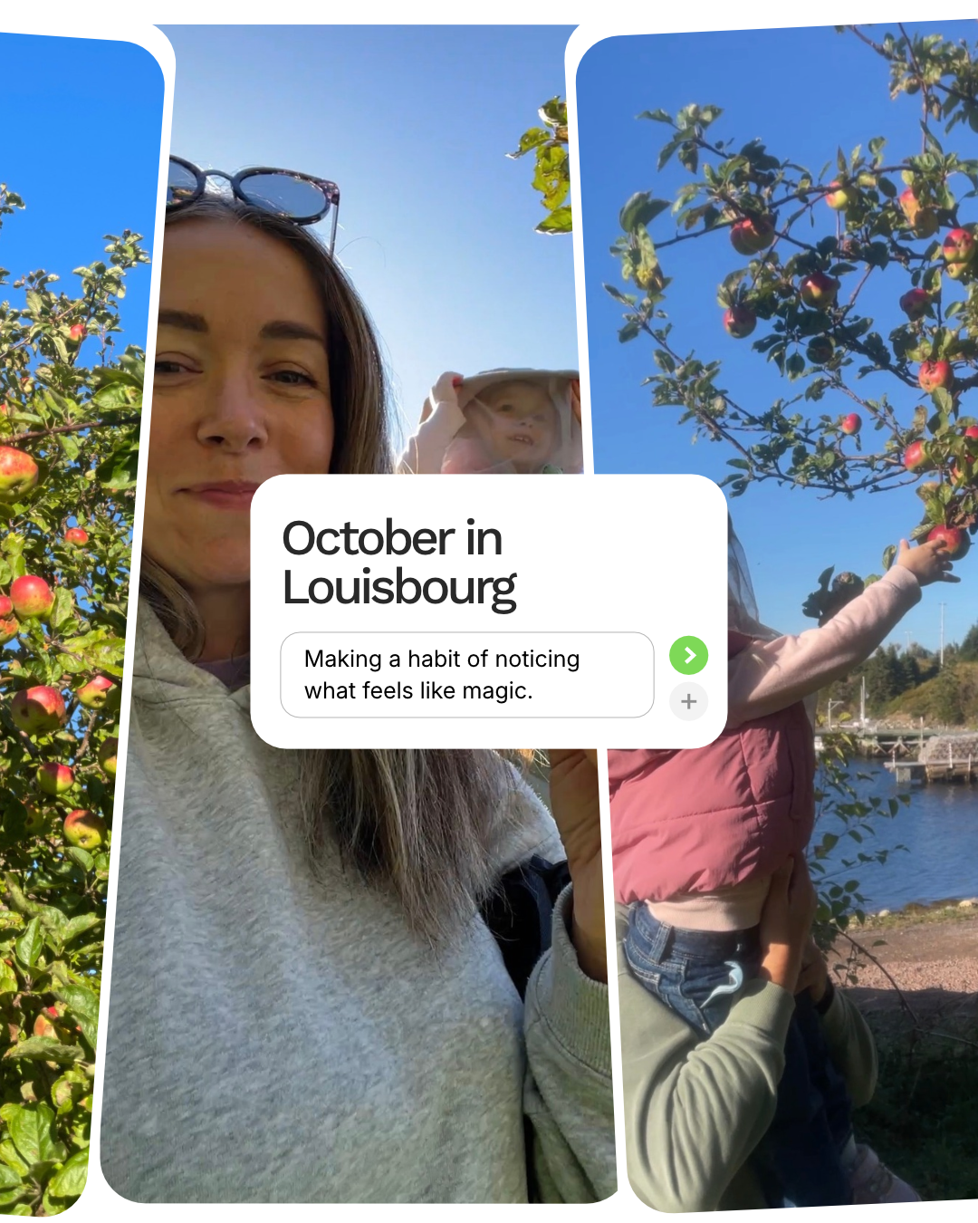 October in Louisbourg: Apple Picking & the Little Things Worth Remembering